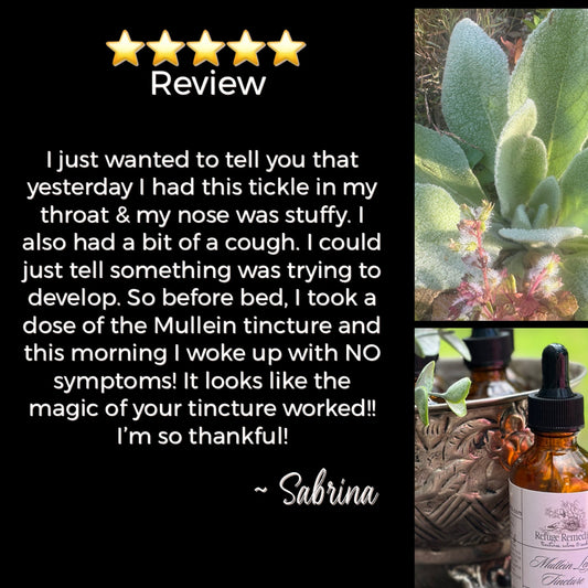 Mullein Leaf Tincture