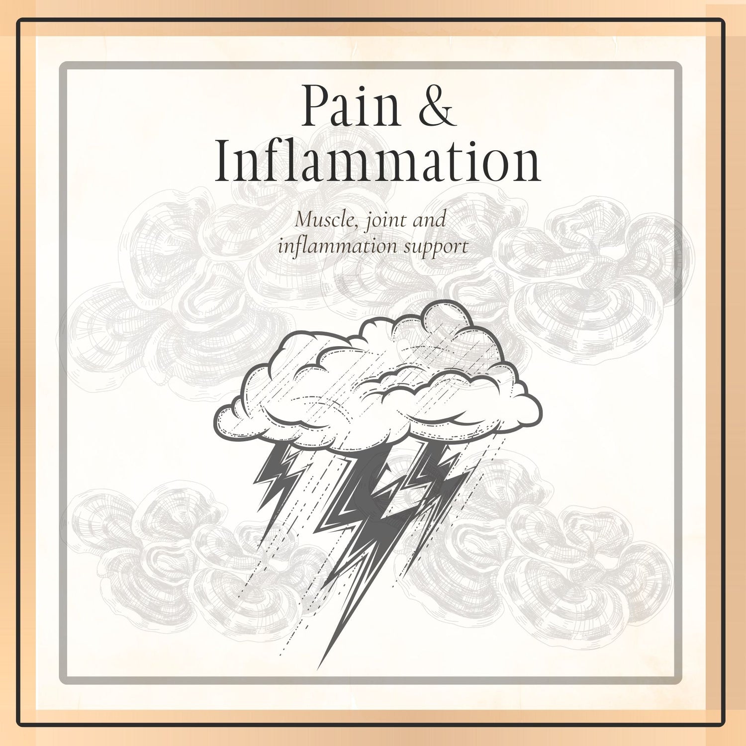 Pain + Inflammation Support