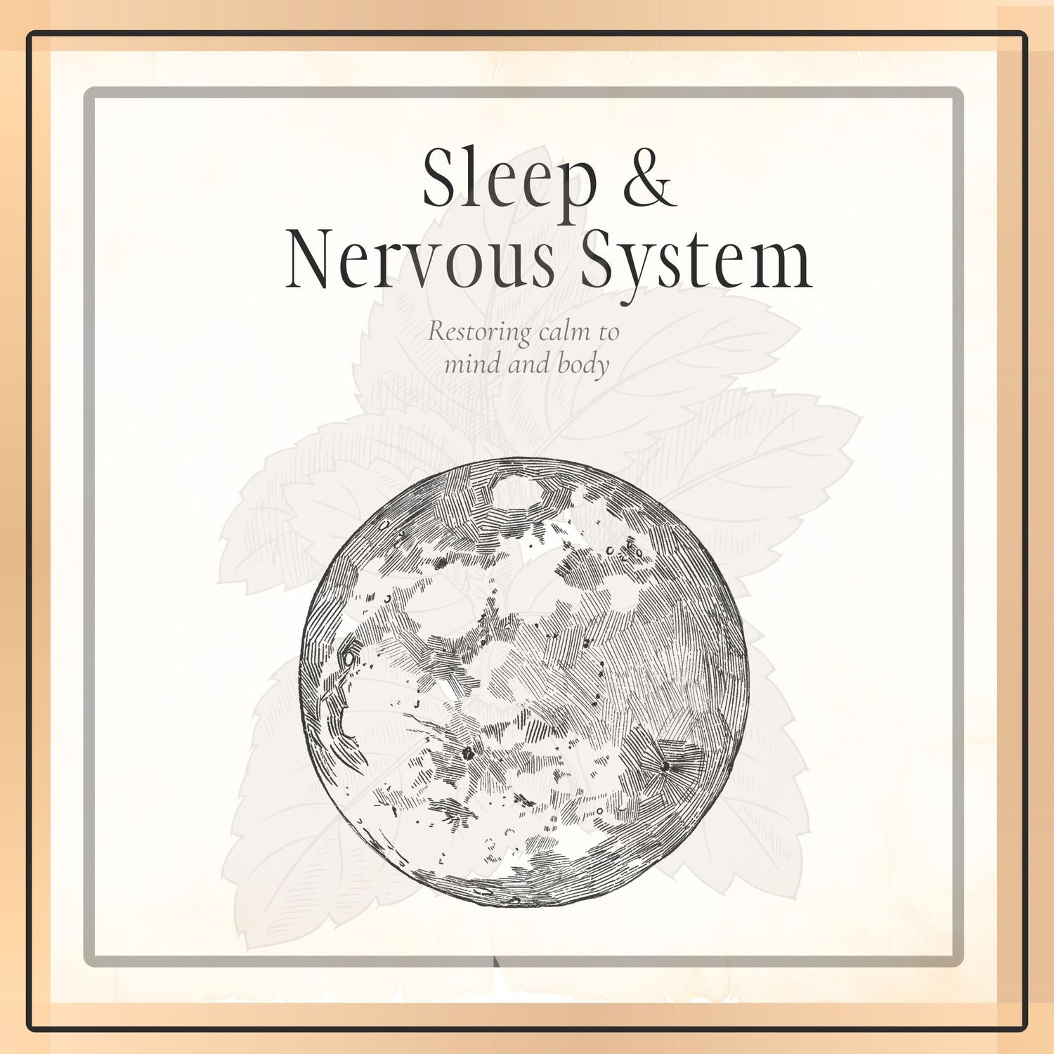 Sleep + Nervous System Support