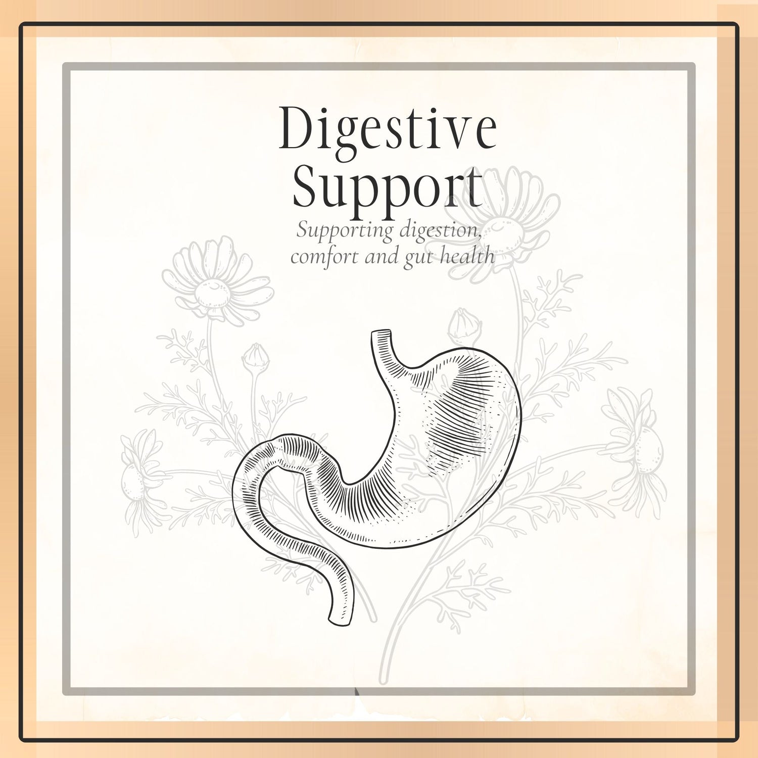 Digestive Support