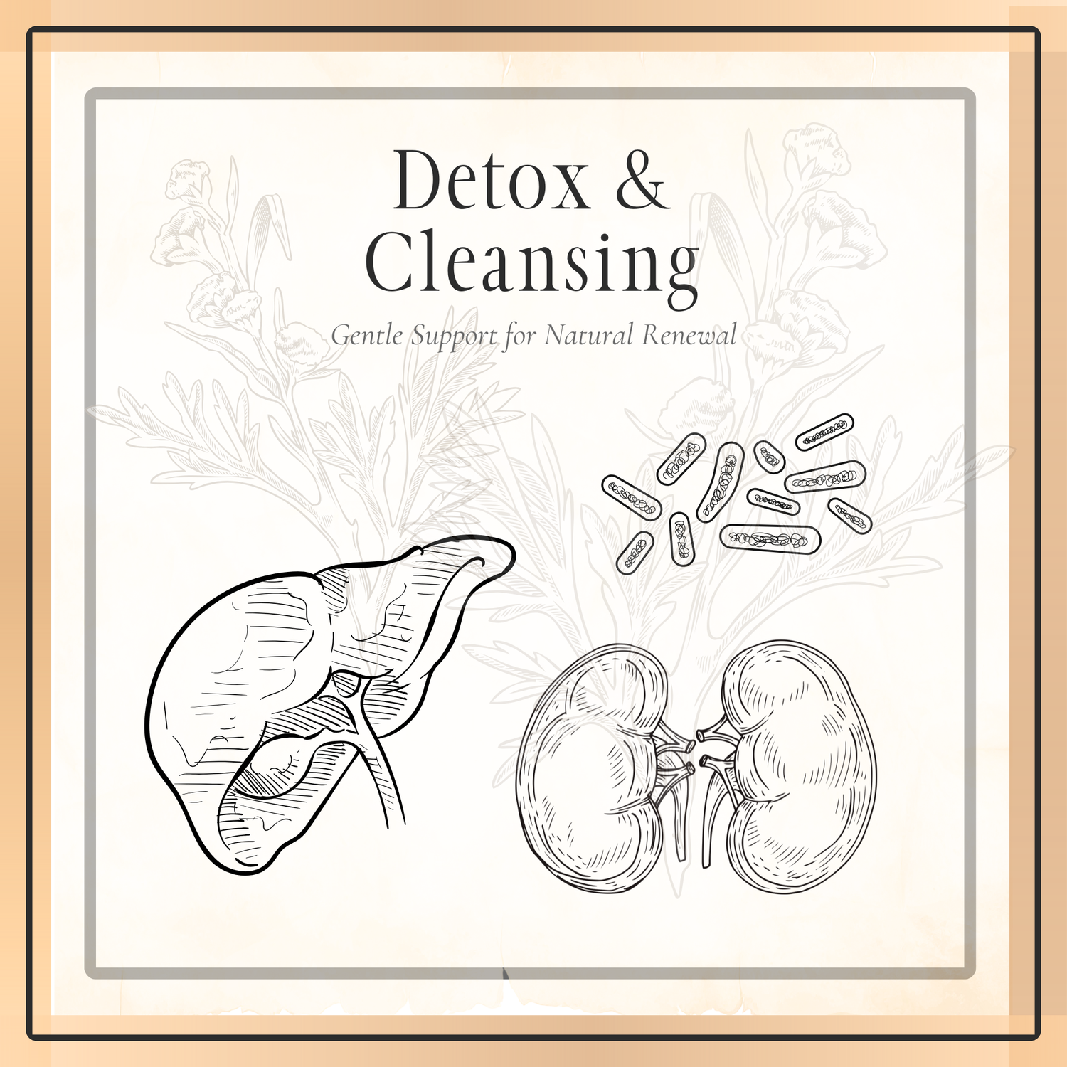 Detox & Cleansing Support