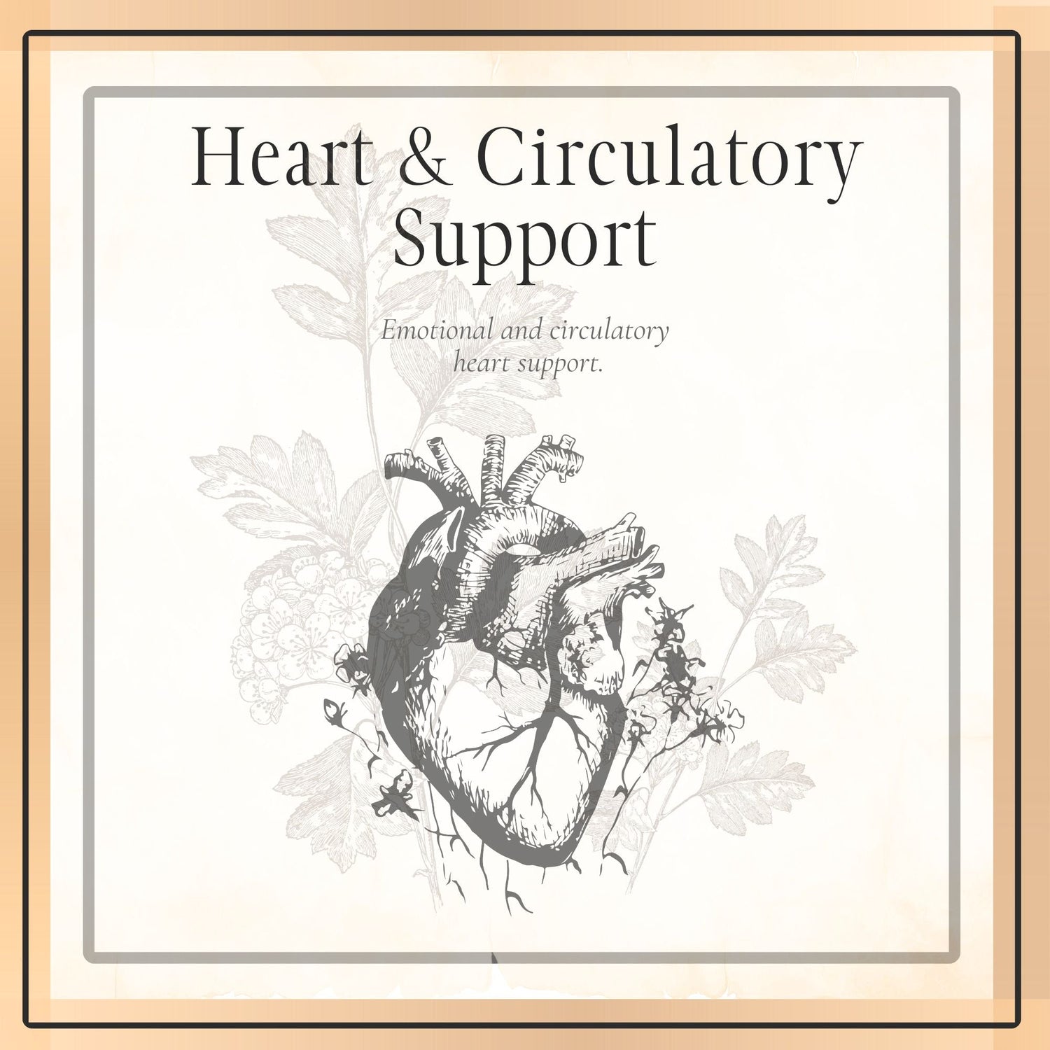 Heart and Circulatory Support