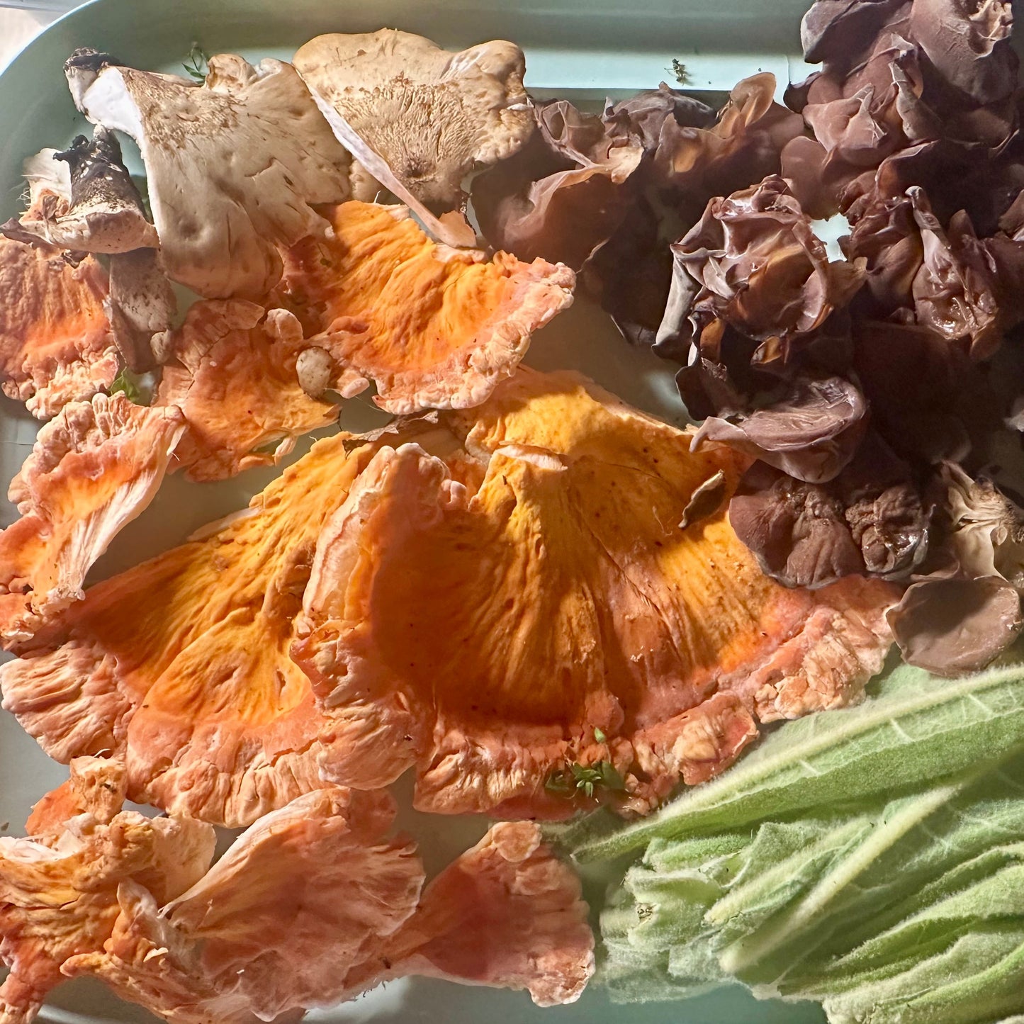Dried mushrooms on a white plate