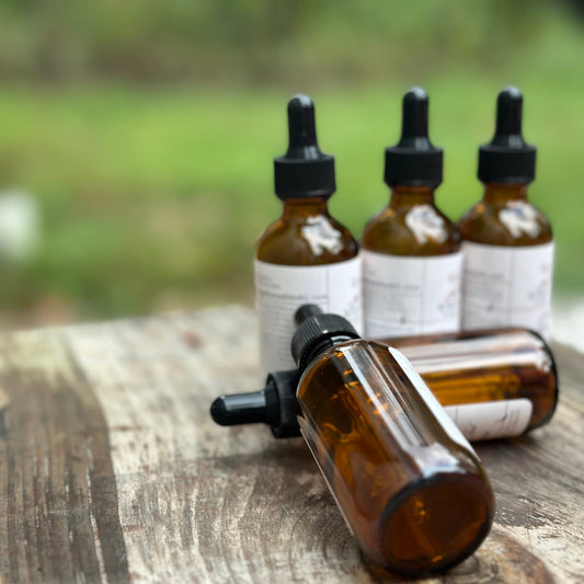 Bird's Nest Fungi Tincture