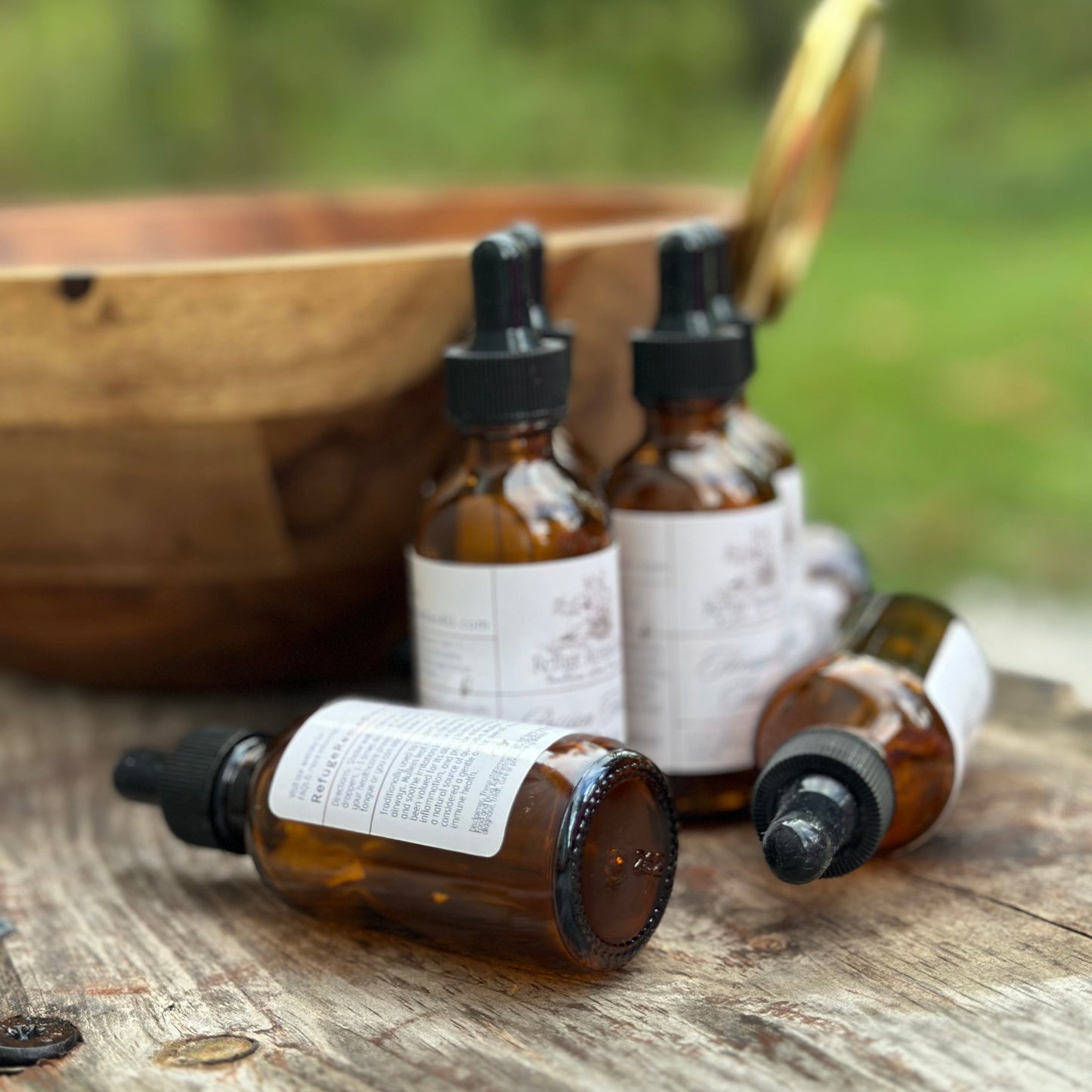 Reishi Mushroom Tincture