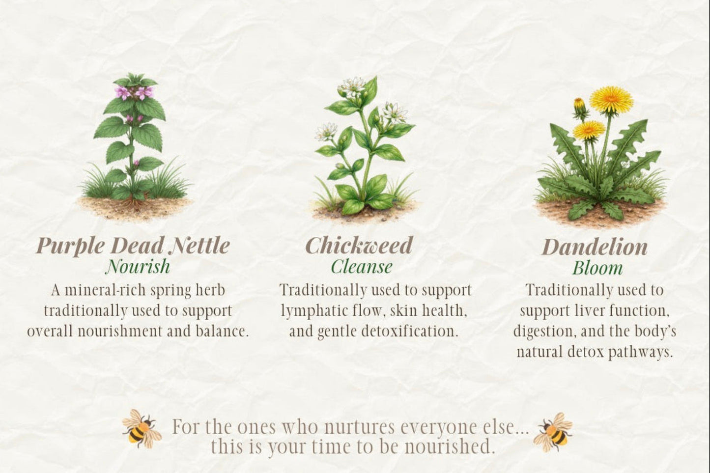 Spring Renewal Trio
