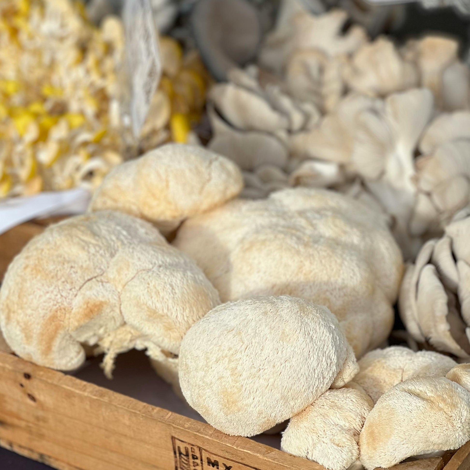 Box of oyster mushrooms on a market stall with other items in the background.